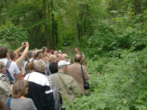 A többség kitartott a Hunyadi szigeten is