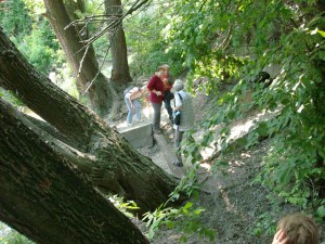 Mászni itt is kellett, de Mauzi ezt is bírja