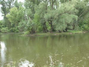 A Hárosi öböl csodája