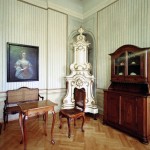 magy_rok_edenyszekreny_ent_maxi